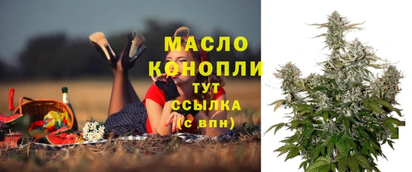 Альфа ПВП Магас