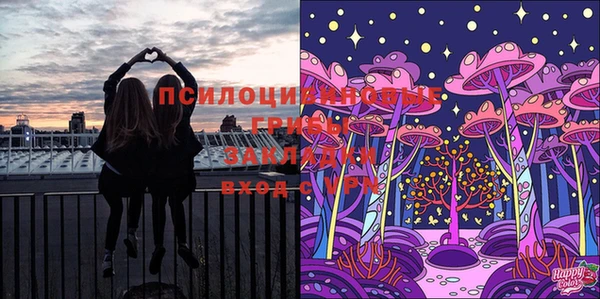Альфа ПВП Магас
